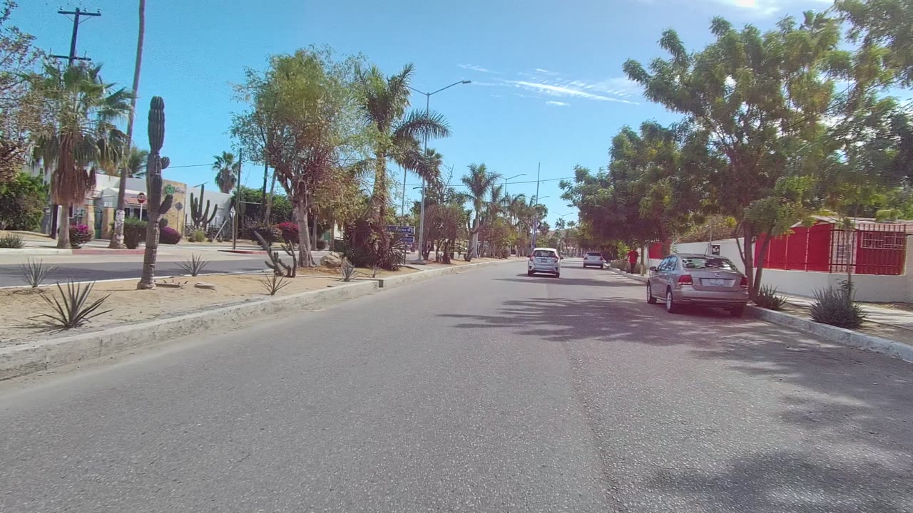 Street-level view in East Cape Los Cabos, Baja California Sur, with a paved road, desert plants, palm trees, parked cars, white walls with red trim, and no visible people.