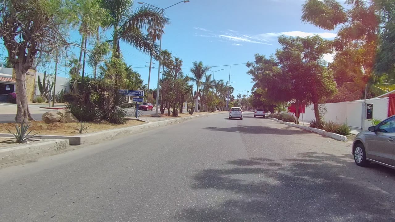 Road view with parked cars, palms, cacti, white buildings, and red wall trim.