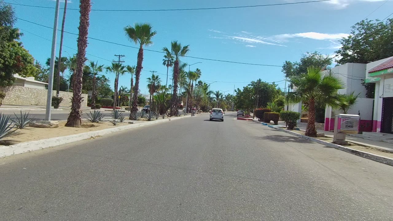 Forward road view with palms, dry landscaping, and white car ahead