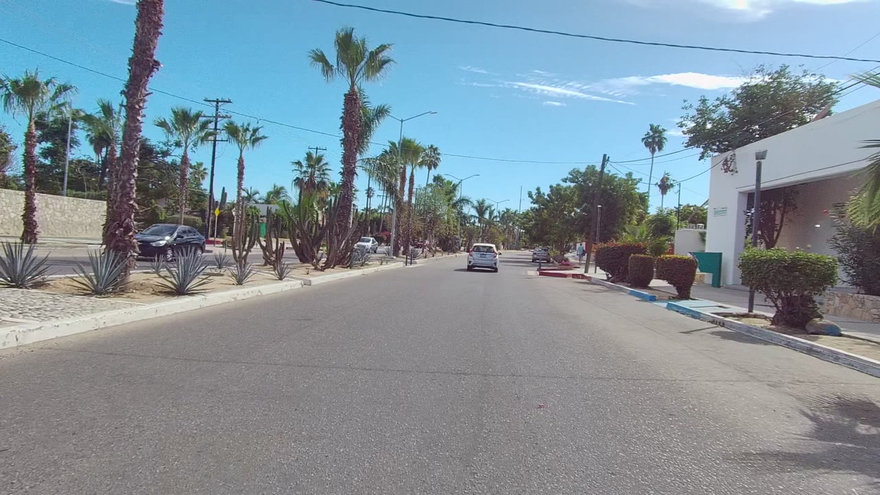 Moving street view in Los Cabos with a white wall and parked dark car at right, palms and cactus-like plants along the roadside, a car in the lane ahead, and no visible people.