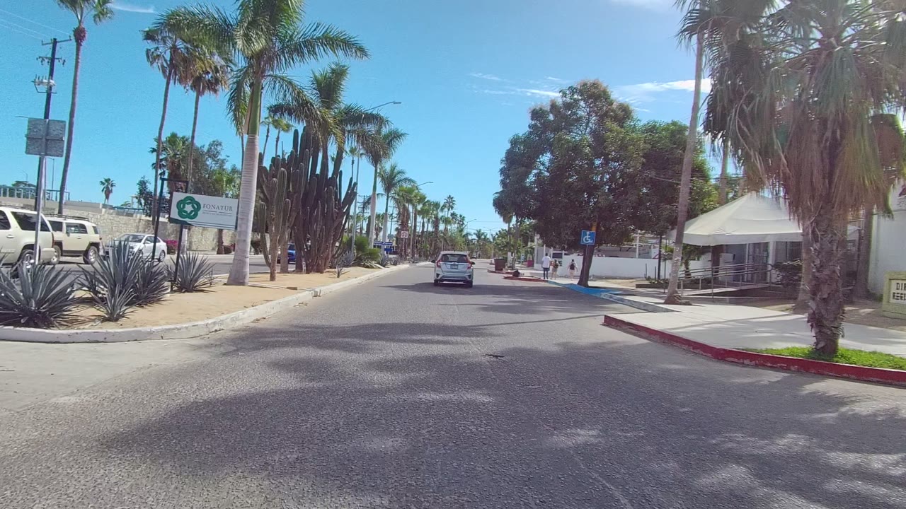 A forward street view in Los Cabos, Baja California Sur shows palms, cacti, desert landscaping, a white car ahead, parked vehicles, red curb paint, and clear blue sky.