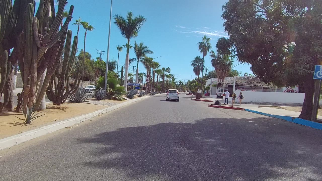 A forward view in Los Cabos shows a white car farther down the road, palms, a large cactus cluster, a blue accessible parking sign, white walls, and pedestrians near the right sidewalk.
