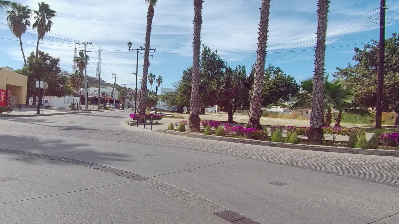 Opening view of a Los Cabos urban street with tall palms, pink flower planters, low buildings, road paving, power lines, and no visible people.