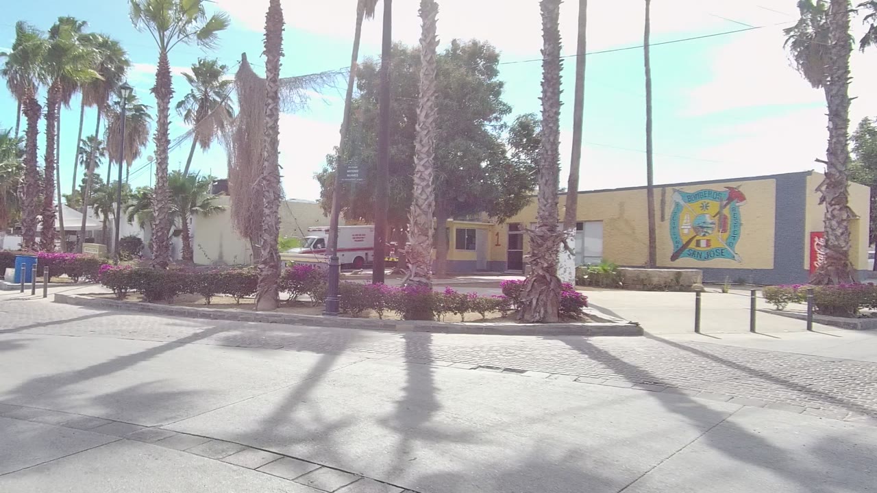 Mid-clip Los Cabos road view with a white car ahead, tall palms, sidewalk signs, flower planters, utility lines, clear blue sky, and no visible people.