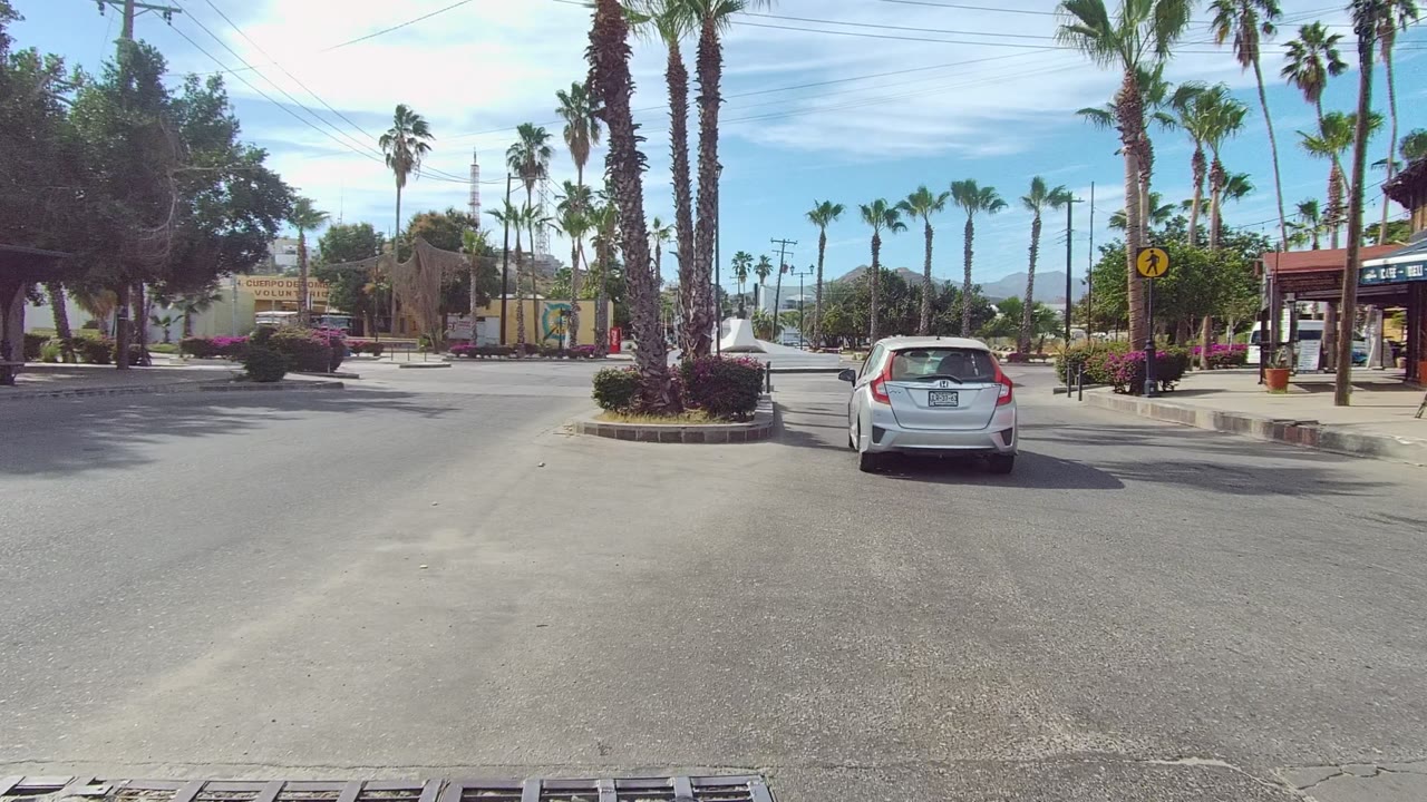 White car driving toward the center of a landscaped traffic circle.