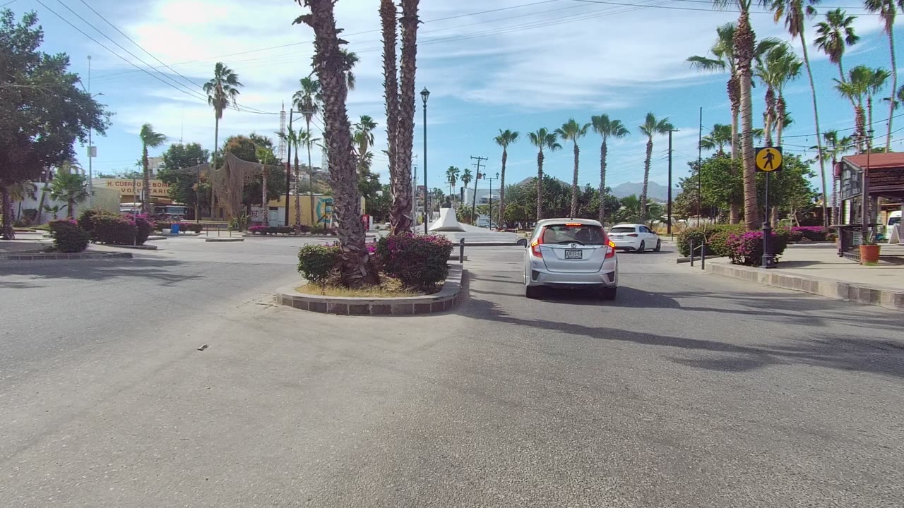 The white hatchback moves farther around the Los Cabos roundabout, framed by palm trunks, trimmed shrubs, a red-orange building, and no visible people.