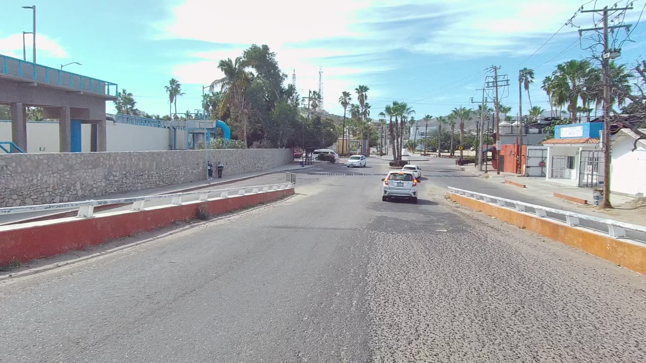 Road-level view in Los Cabos, Baja California Sur showing a palm-lined urban street, a white car ahead, low guardrails, utility poles, and distant pedestrians near a stone wall.