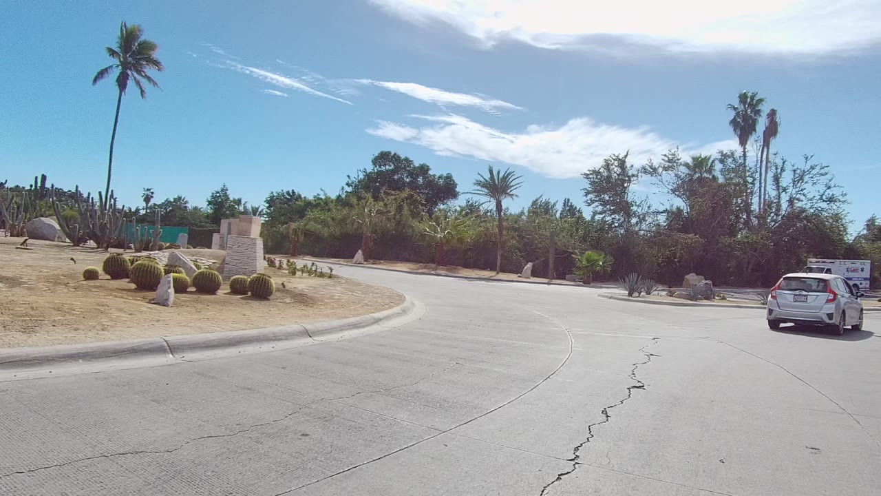 White car near a desert landscaped roundabout with palm trees