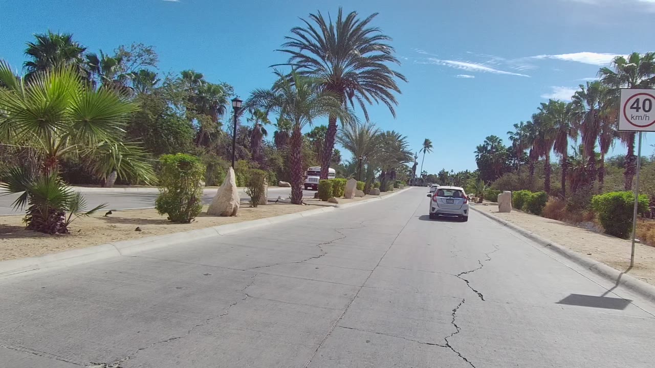 Start of an East Cape Los Cabos road view with a white car ahead, palms and sandy landscaping on both sides, a 40 km/h sign near the road, and no visible people.