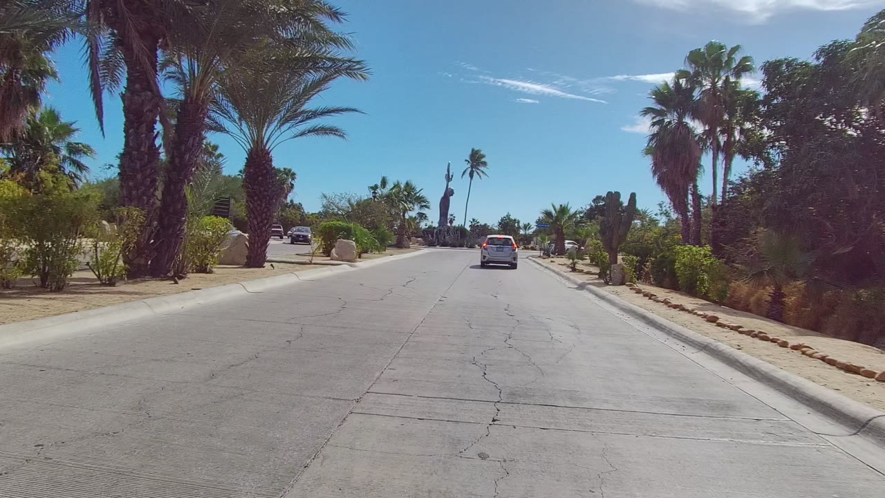 Road-level view in Los Cabos, Baja California Sur, with a white car ahead on cracked pavement, palms and shrubs lining both sides, and no visible people.