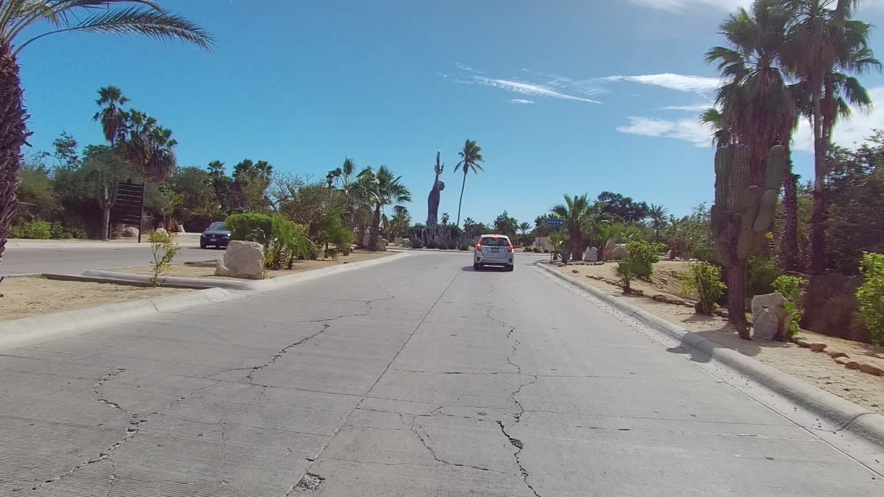Car approaches an intersection bordered by palms and desert landscaping.