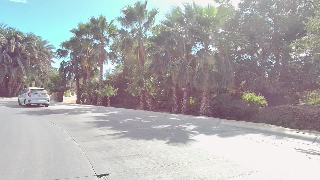 A white car drives ahead on a paved road lined with palms and dense greenery in Los Cabos, Baja California Sur, with no visible people.