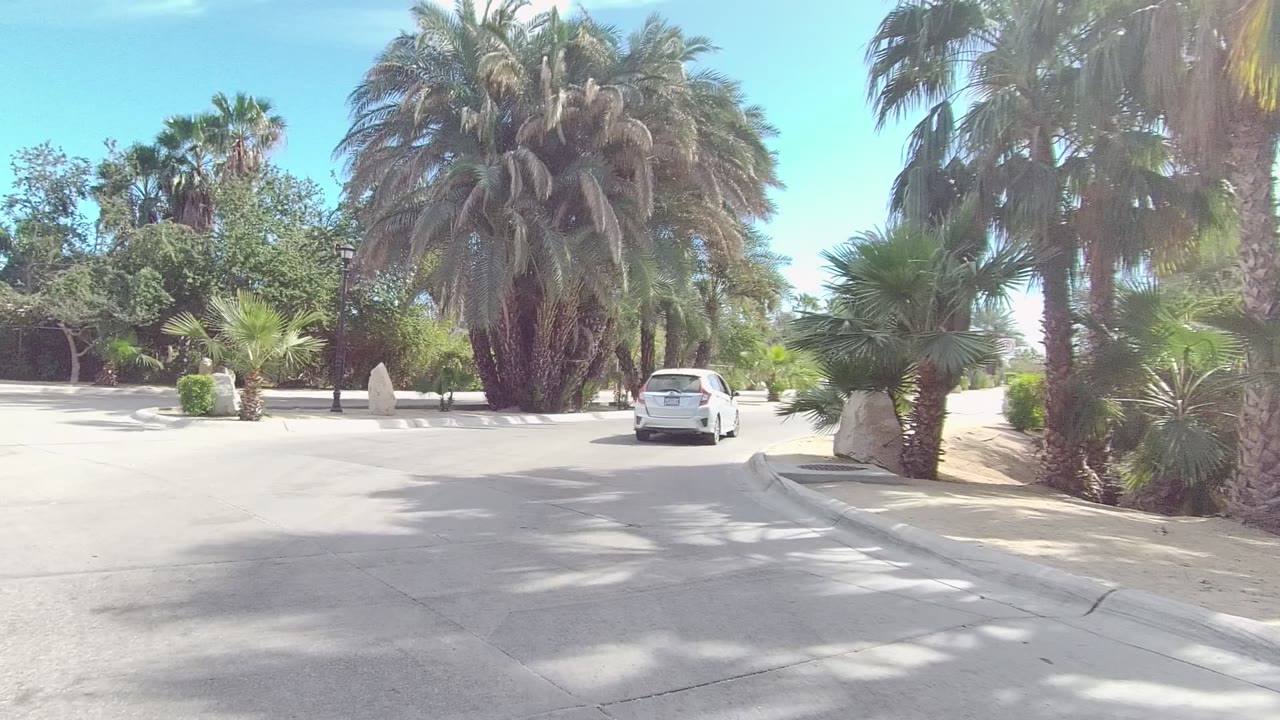 A white car continues along the palm-lined road in Los Cabos, with open pavement, landscaped medians, bright sky, and no visible people.