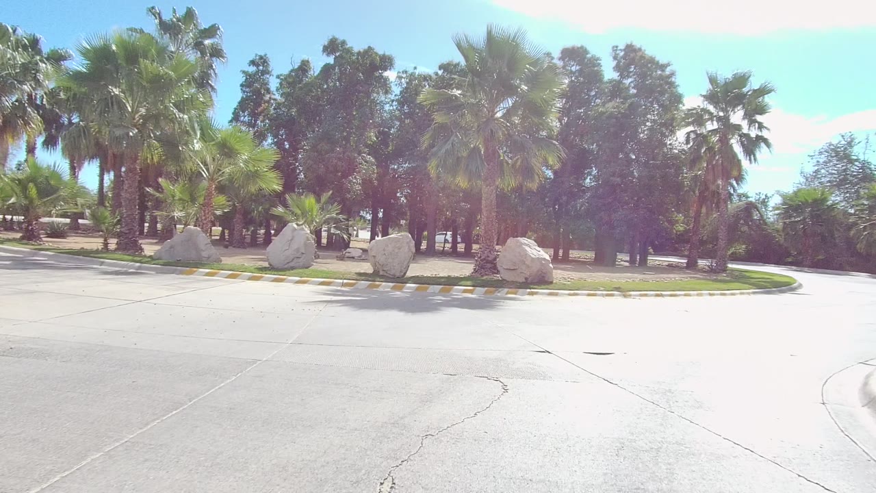 A bright East Cape Los Cabos roadway begins beside a landscaped roundabout with large rocks, palms, grass, and no visible people.