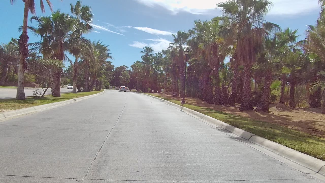 Opening frame of a palm-lined paved road in East Cape Los Cabos with grass strips, parked cars in the distance, strong sun, and no visible people.