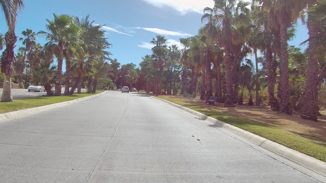 Wide street view with palms and parked cars