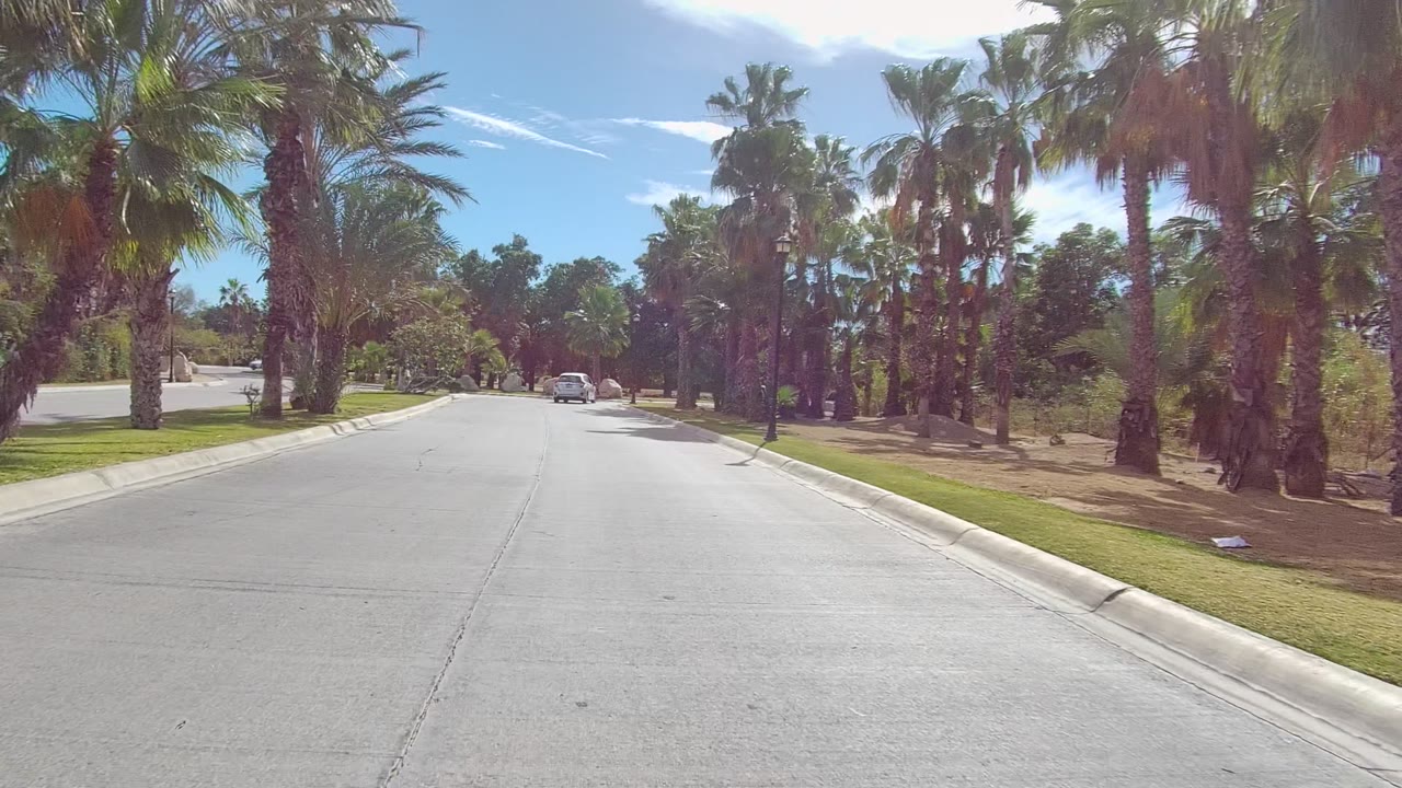 A later road-level frame in East Cape Los Cabos shows the street beginning a gentle curve, palms on both sides, parked cars ahead, and no visible people.