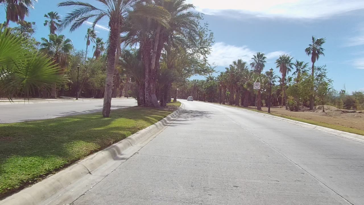 Forward road view in East Cape Los Cabos with palms on both sides, green verge at left, a small speed limit sign ahead, thin clouds, and no visible people.