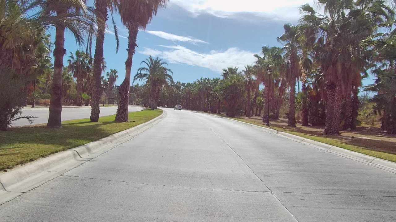 Road-level view in East Cape Los Cabos with a 40 speed limit sign near the right curb, palms, trimmed grass, dry ground, bright sky, and no visible people.