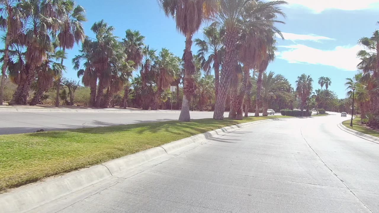 A paved road in East Cape Los Cabos, Baja California Sur curves past grass, palms, and curb shadows under a bright sky, with no visible people.