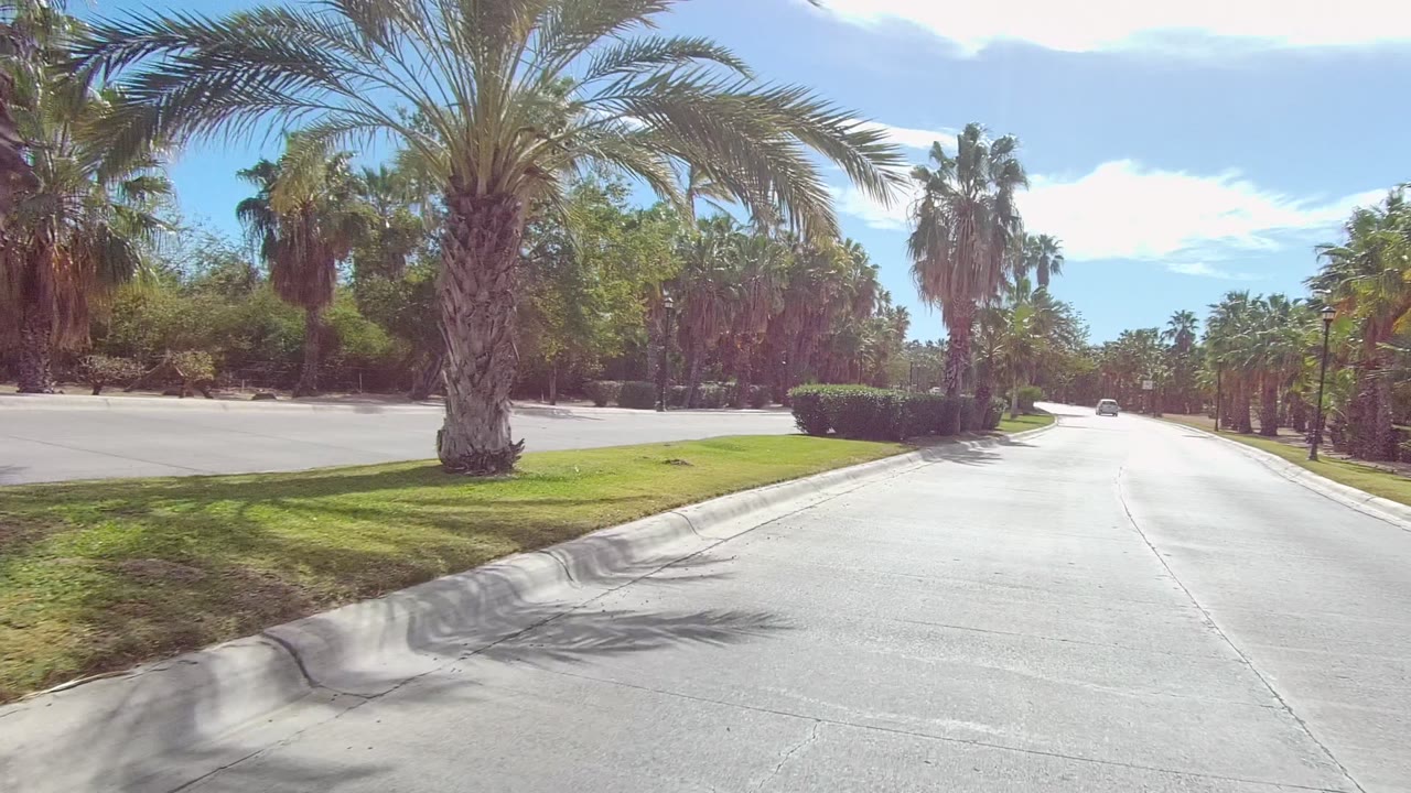 A broad roadside view in East Cape Los Cabos shows palms, clipped grass, curbs, and a sunlit paved road with no visible people.