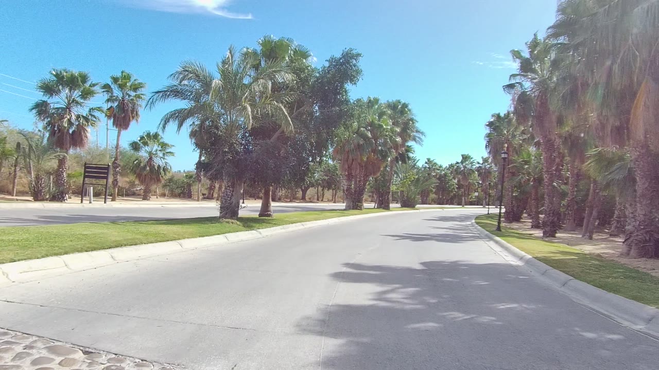 Opening view of a paved road in East Cape Los Cabos with palms on both sides, green grass along the curbs, bright sun, and no visible people.