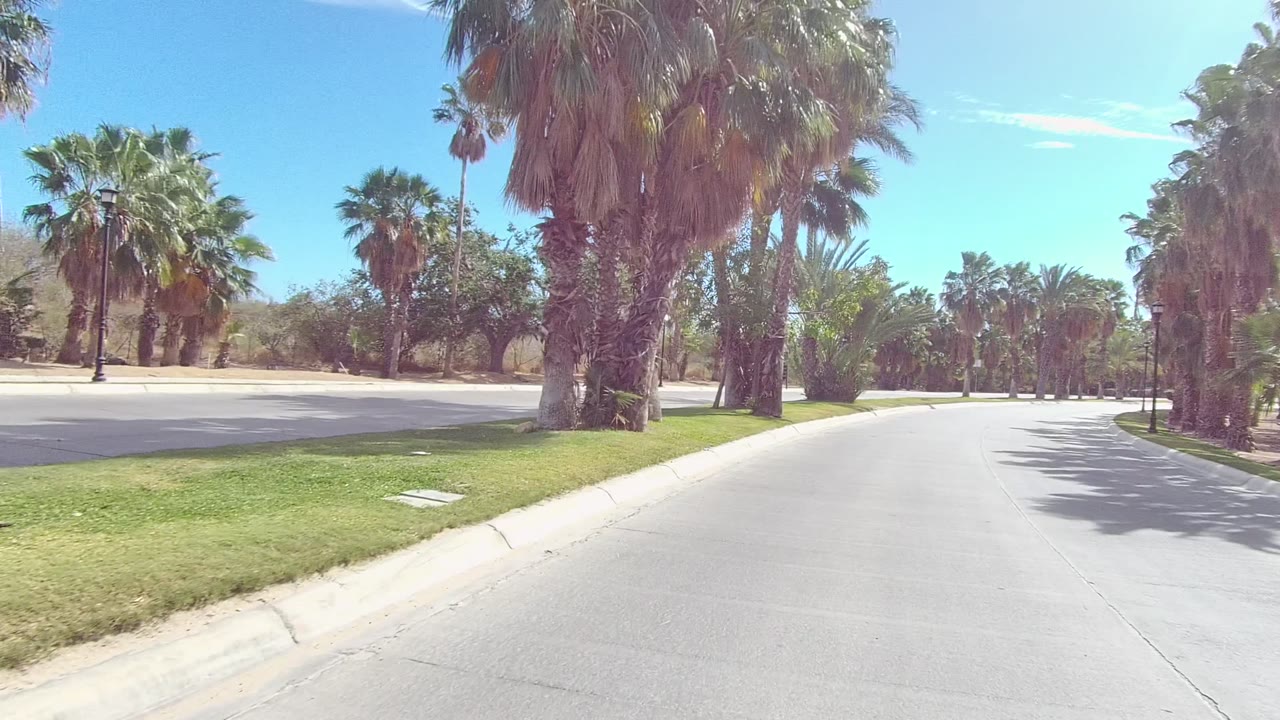 Mid-clip view of the East Cape Los Cabos road with broad pavement in the foreground, palms across the background, grass strips, and no visible people.