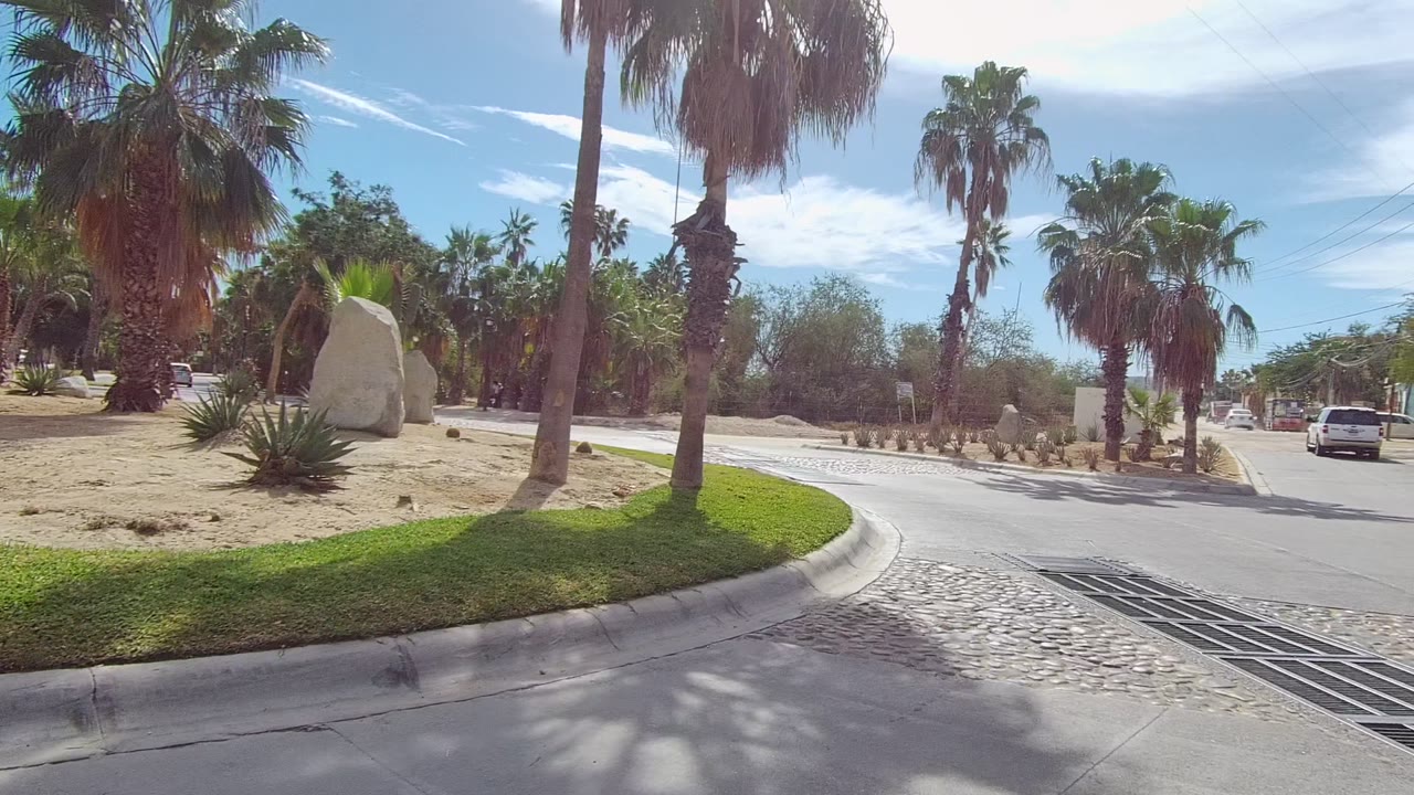 Street-level view in Los Cabos showing a curved road bordered by palms, a green grass strip, sandy planting beds, and blue sky, with no visible people in this frame.