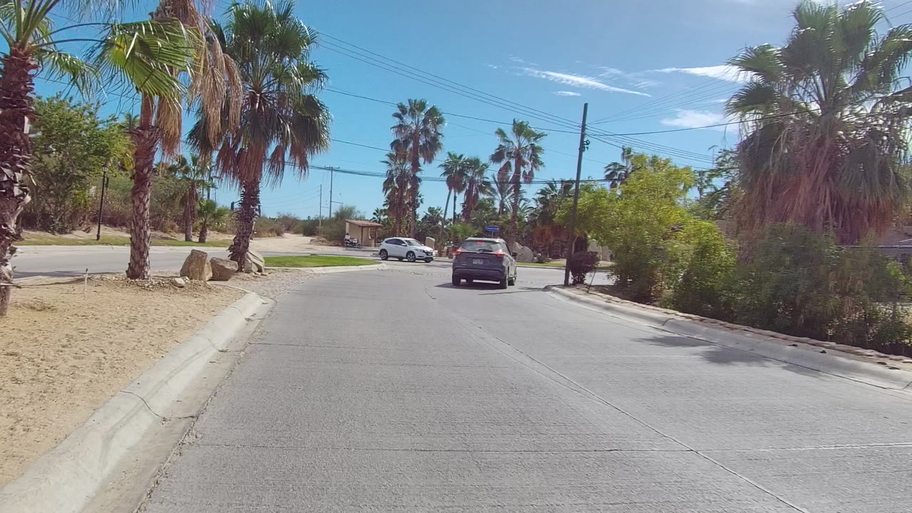 Road curve with palms, boulders, shrubs, and cars