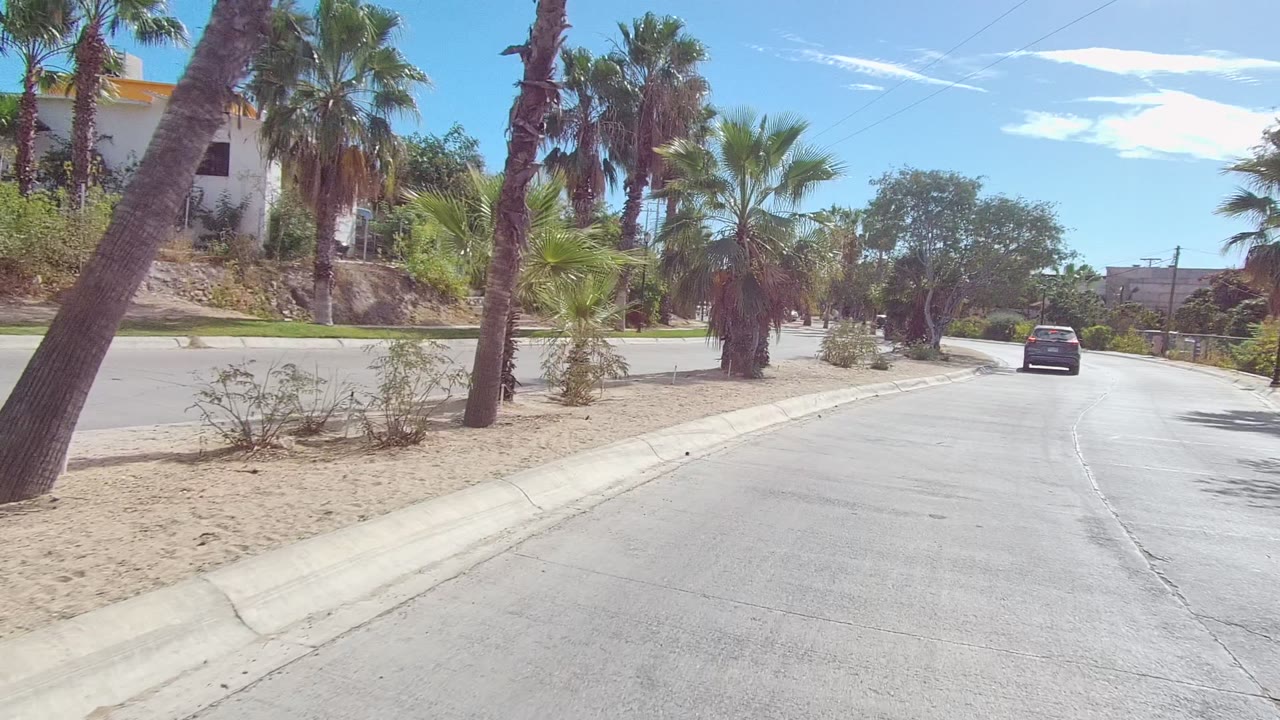 Curving road with palms, sandy median area, and a car moving ahead.