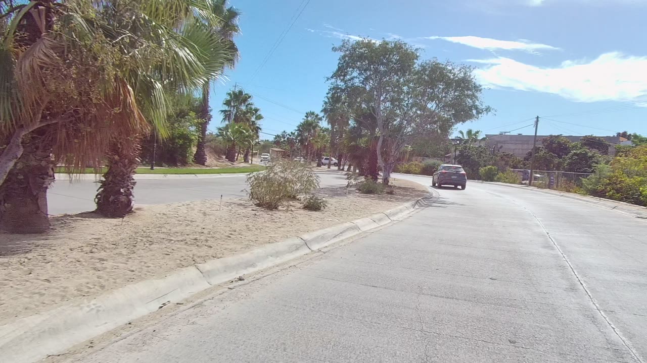 Mid-curve East Cape Los Cabos street scene with large palms near the curb, sandy ground, a dark car on the right side of the road, utility lines, and no visible people.