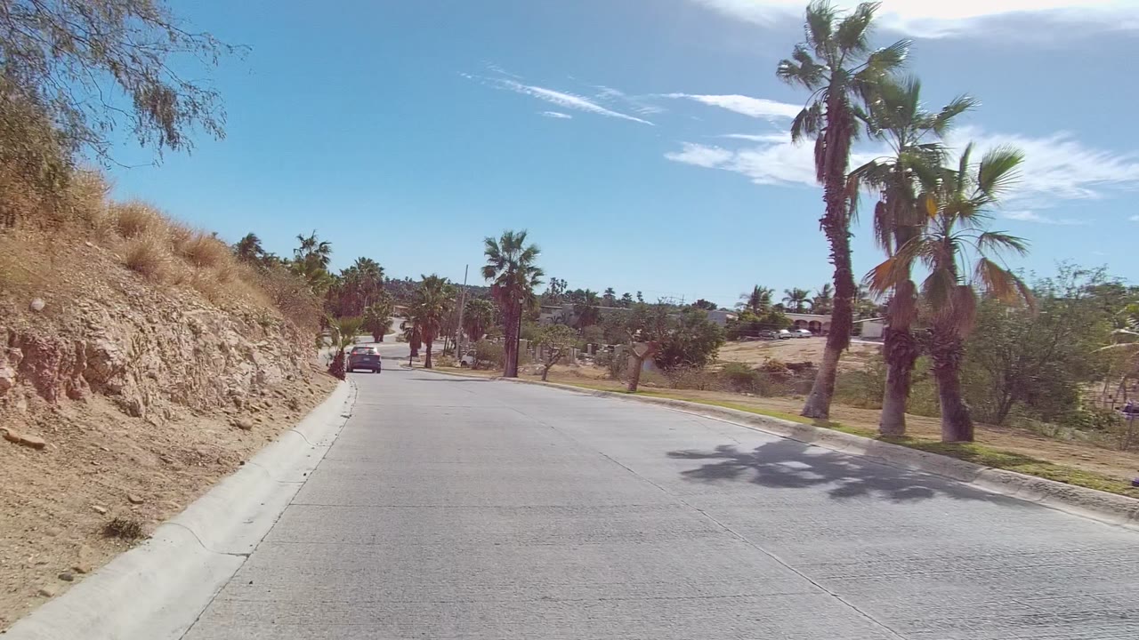 Palm-lined paved road with dry slope, curb, and distant homes.