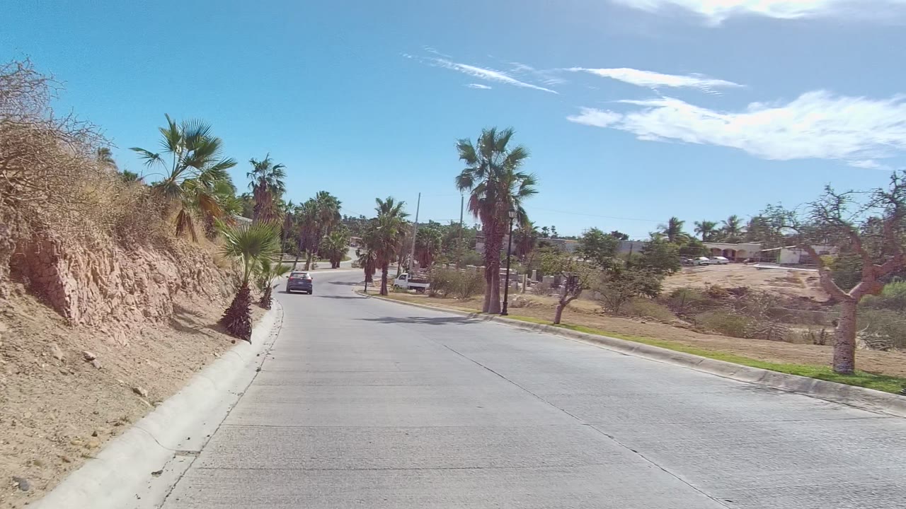 Road-level view in East Cape Los Cabos showing a gentle bend, palms along both sides, dry terrain, low residential structures in the distance, a dark car ahead, and no visible people.