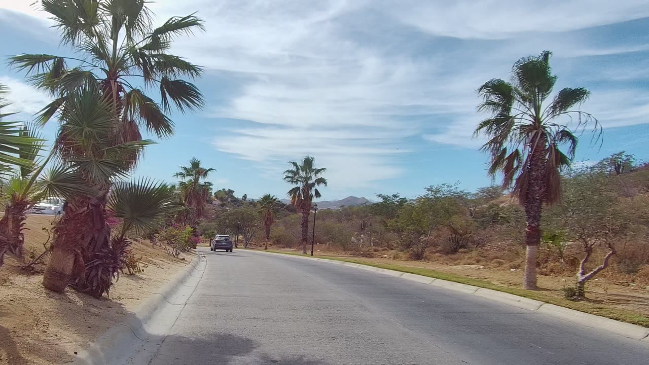 Forward view of a palm-lined paved road in East Cape Los Cabos, Baja California Sur, with sandy roadside ground, distant hills, a vehicle ahead, and no visible people.