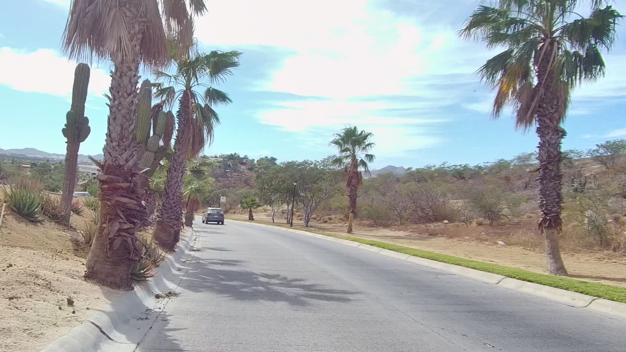 A road-level view in East Cape Los Cabos, Baja California Sur, shows a palm trunk close to the right edge, dry landscaped slopes, low hills, a vehicle ahead, and no visible people.