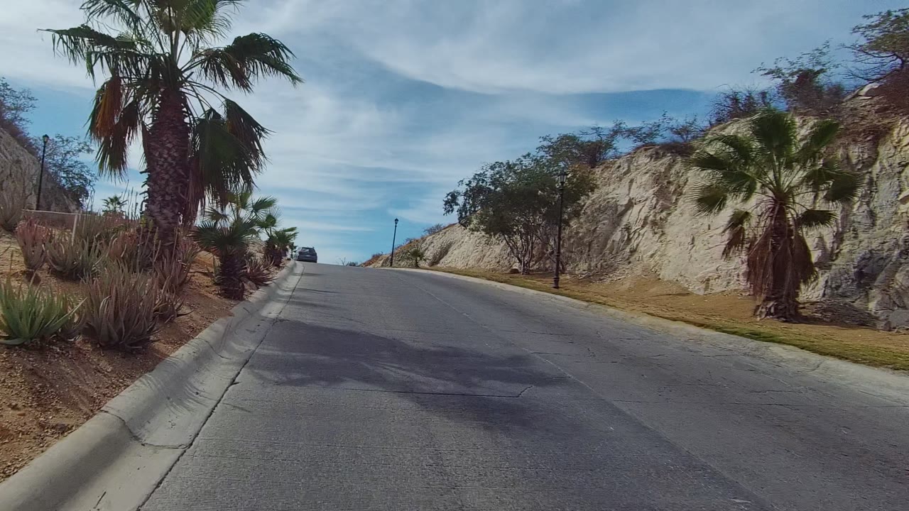 Road-level view in East Cape Los Cabos, Mexico, showing a paved uphill street bordered by palms, curbs, desert plants, pale slopes, and no visible people.