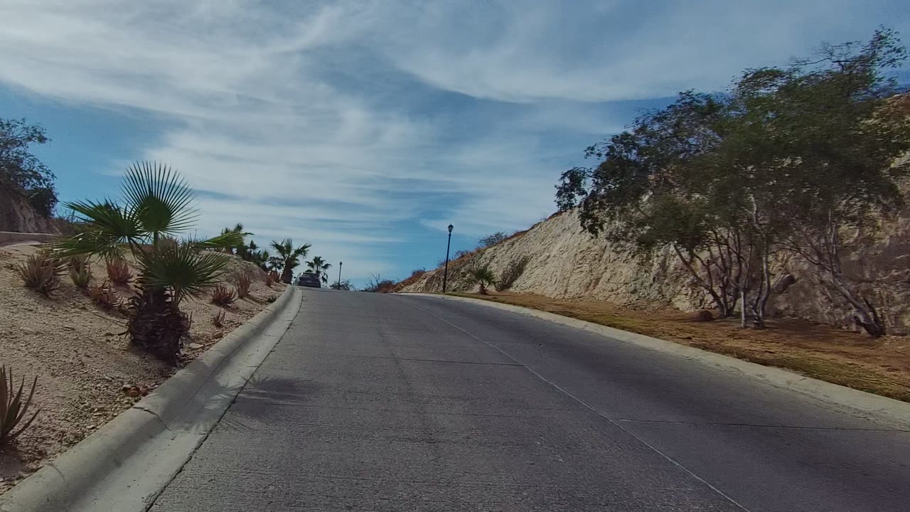 Empty road curving past palm trees and pale hillside under cloudy sky.