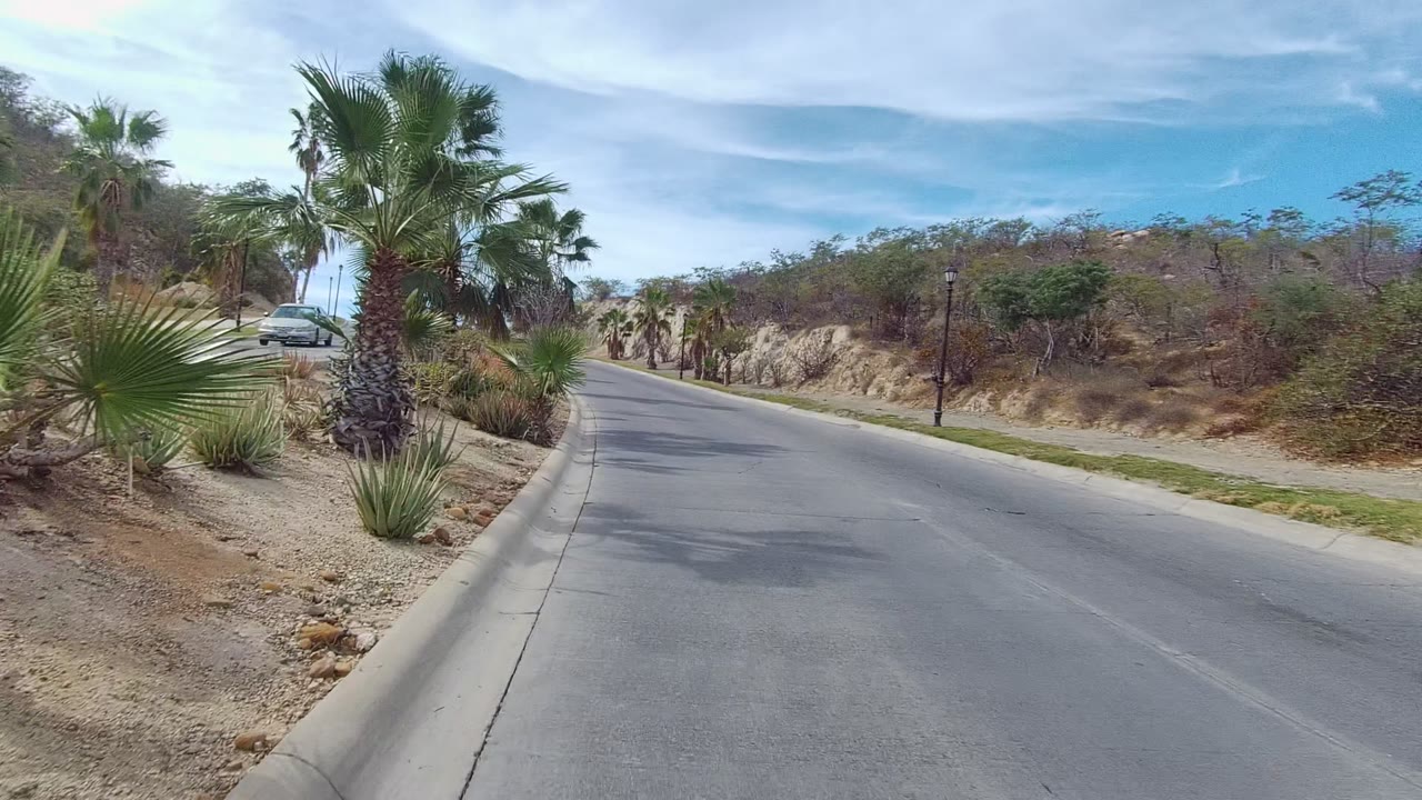 Curving road with palms, shrubs, and a parked vehicle partly visible behind plants.