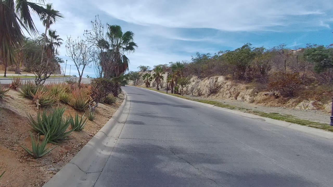 East Cape Los Cabos roadway with the asphalt curving ahead, palms and scrub vegetation along rocky sandy banks, bright blue sky, light clouds, and no visible people.