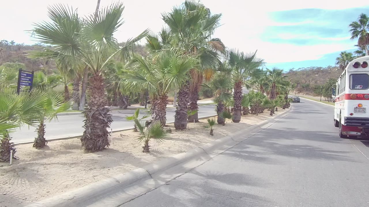 A palm-lined road in East Cape Los Cabos, Baja California Sur shows a white bus-like vehicle ahead, dry landscaping beside the pavement, low hills in the distance, and no visible people.