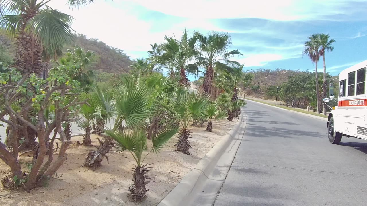 A curving road in East Cape Los Cabos runs past palms, sandy soil, and desert shrubs, with part of a white bus-like vehicle at the far right and no visible people.