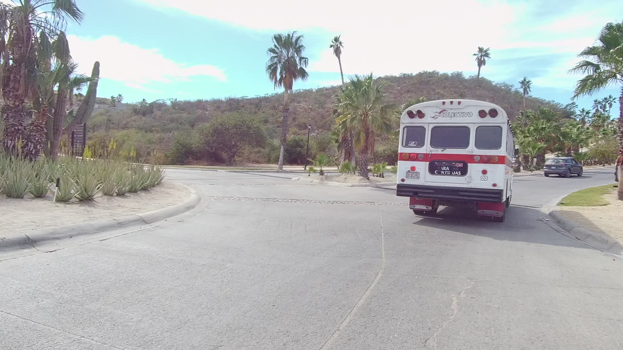 White bus driving away on a paved road in East Cape Los Cabos, Baja California Sur, with palms, small desert plants, dry hills, bright sky, and no visible people.