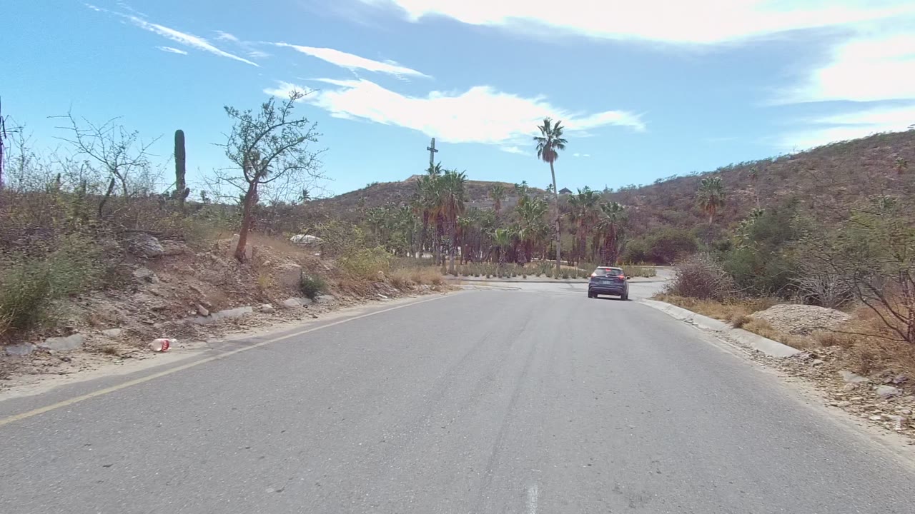 Car nearing a desert junction with palms and cacti in the background.