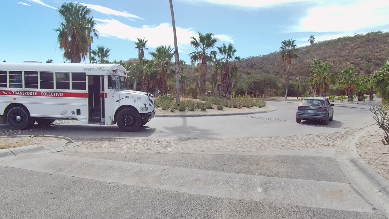 White TRANSPORTE COLECTIVO bus enters the left side of a paved road scene in East Cape Los Cabos, with palms, dry planting, a hill, and no visible people.
