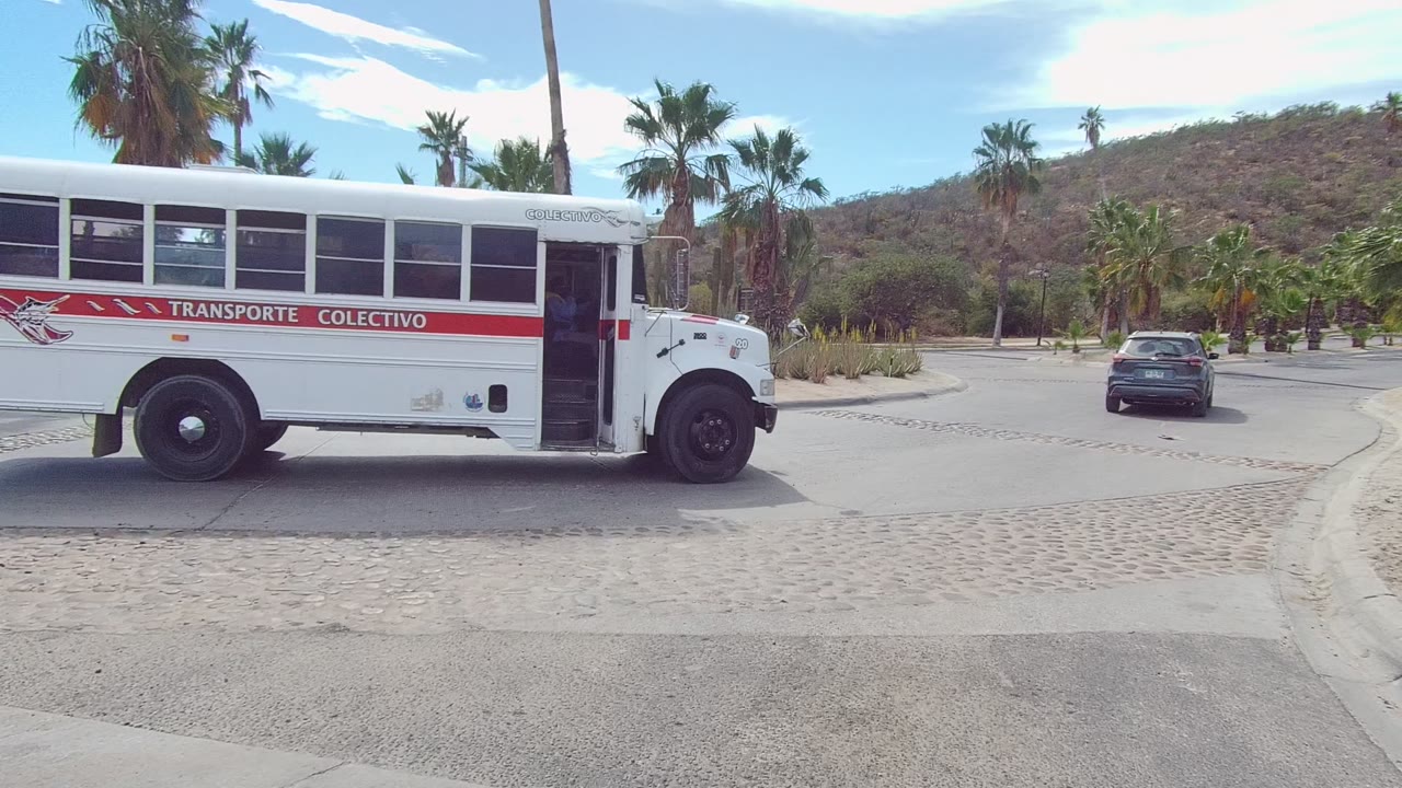 Side view of a white colectivo bus passing a curb with palms behind it.