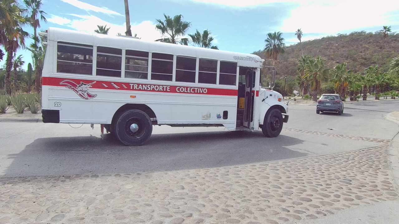 The white colectivo bus advances farther right in the East Cape Los Cabos road scene, with a dark car ahead, palms, cacti, hill, and no visible people.