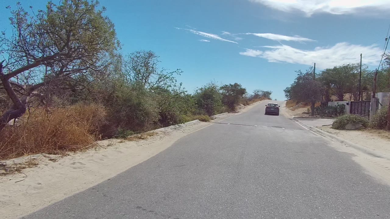 A car travels ahead on a paved road in East Cape Los Cabos, Baja California Sur, with sandy shoulders, dry trees, shrubs, and no visible people.