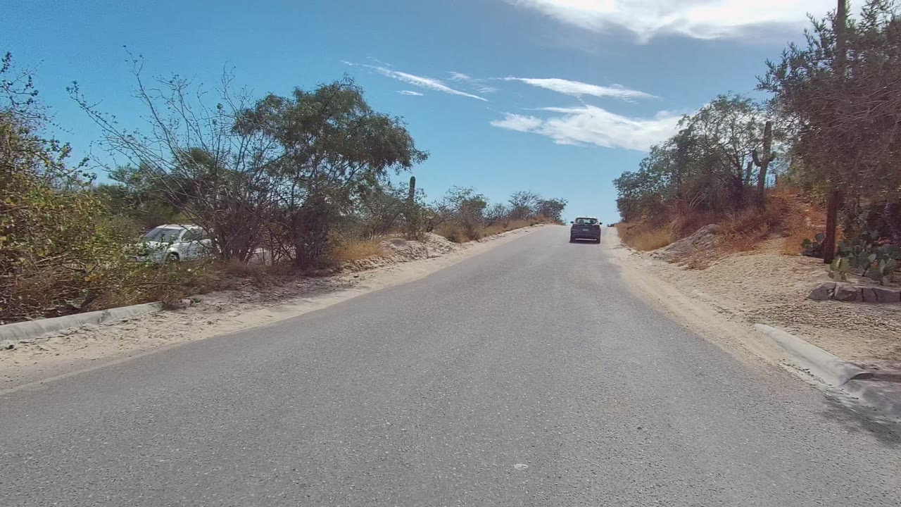 A car drives ahead on the East Cape Los Cabos pavement beside dry brush, sandy ground, a low wall, and scattered trees, with no visible people.