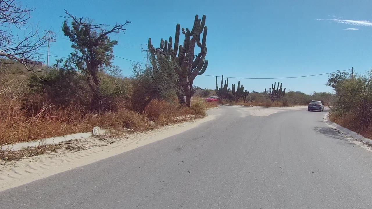 Forward road view in East Cape Los Cabos with sandy shoulders, tall cacti on both sides, dry brush, a small car ahead, blue sky, and no visible people.