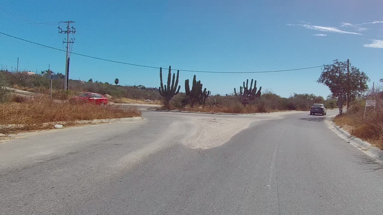 Road junction with cacti, dry vegetation, and a car ahead